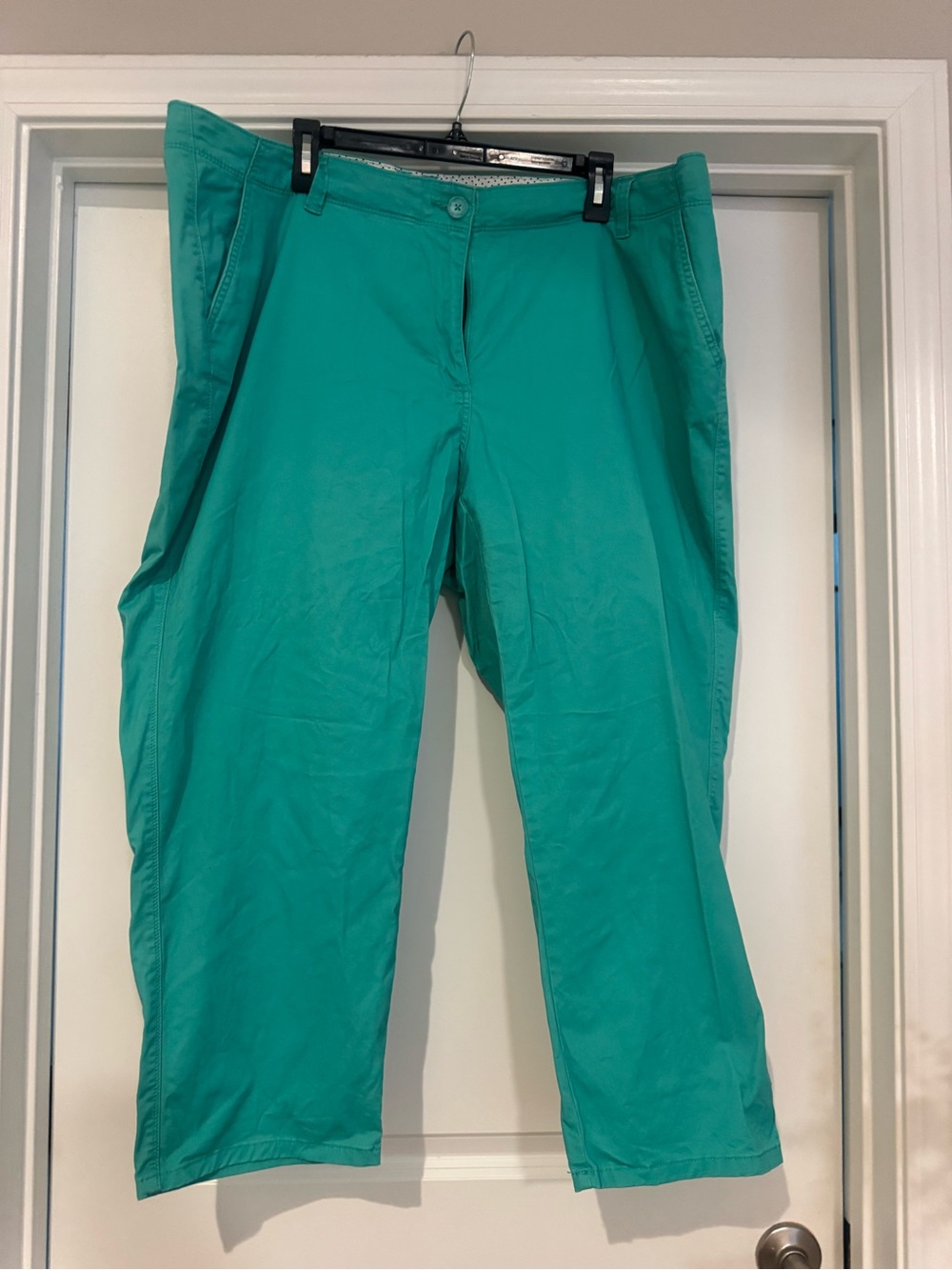 crown & ivy Teal Chino Pants
